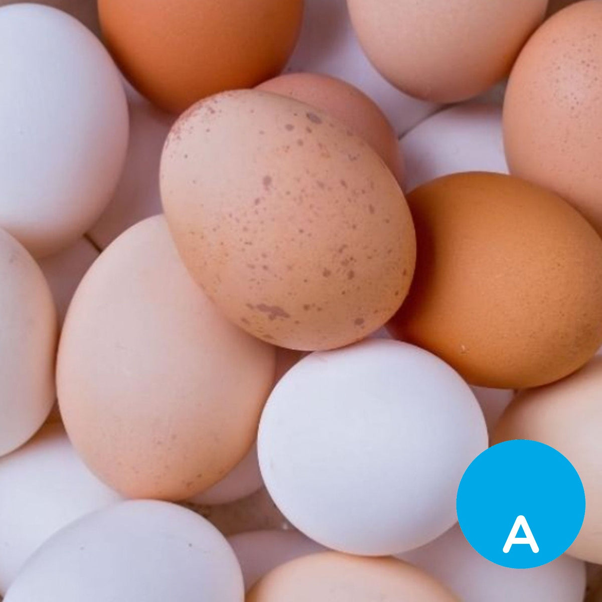 Lácteos, Huevos y Quesos