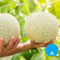 Melón por unidad