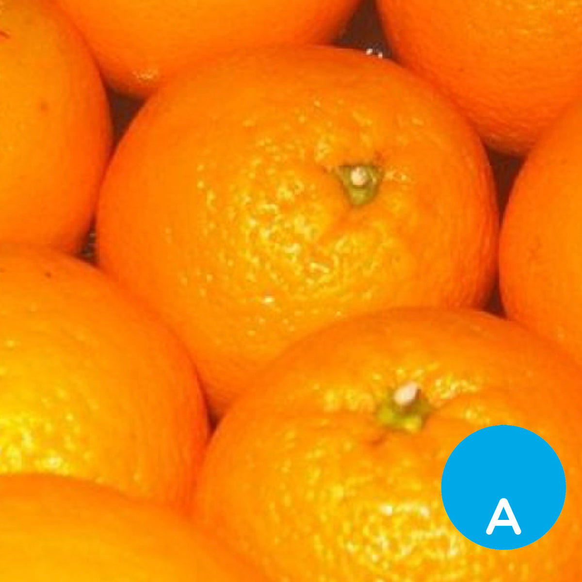 Naranja ombligo x 500 g