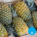 Ananá gold por unidad