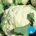 Coliflor por unidad