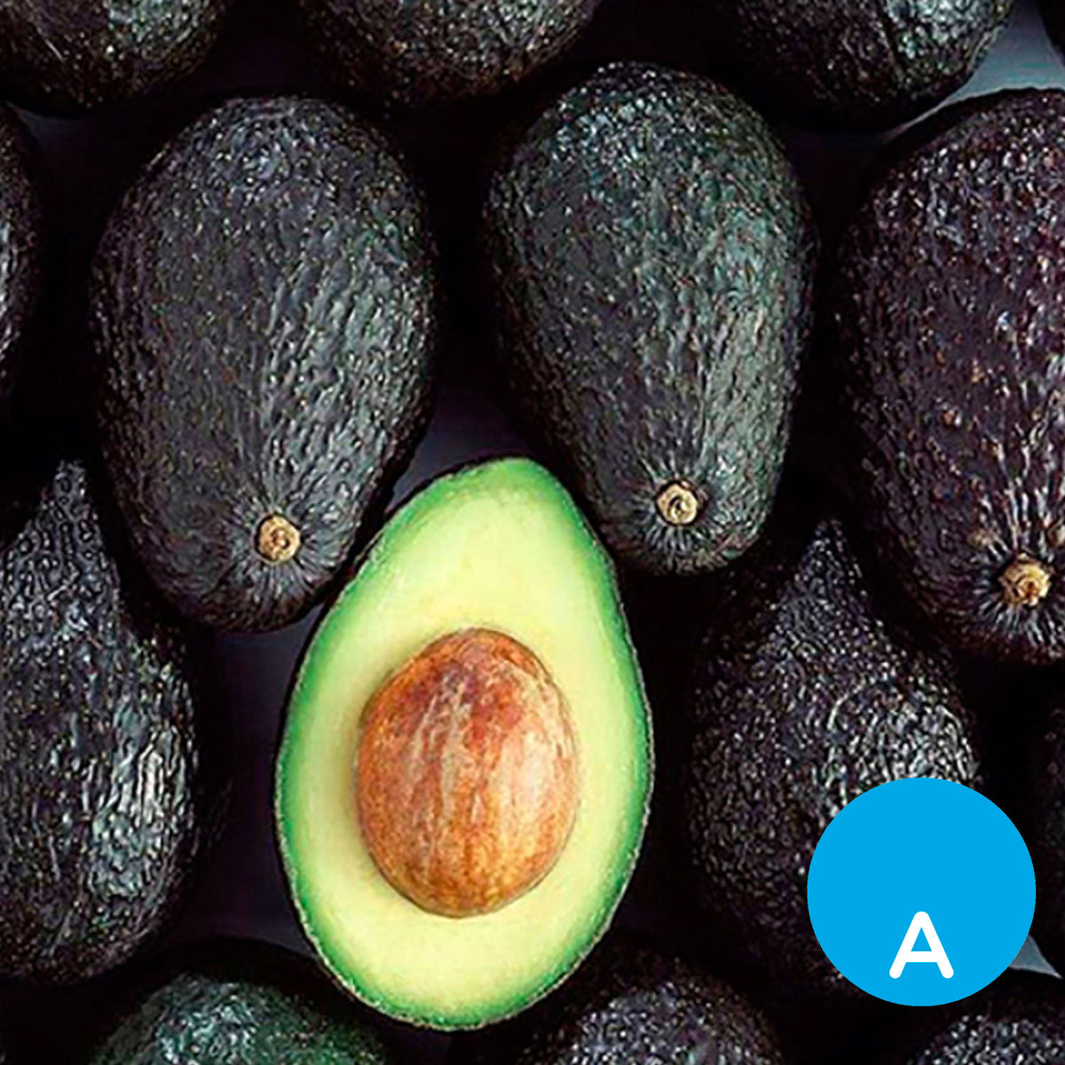 Palta por unidad