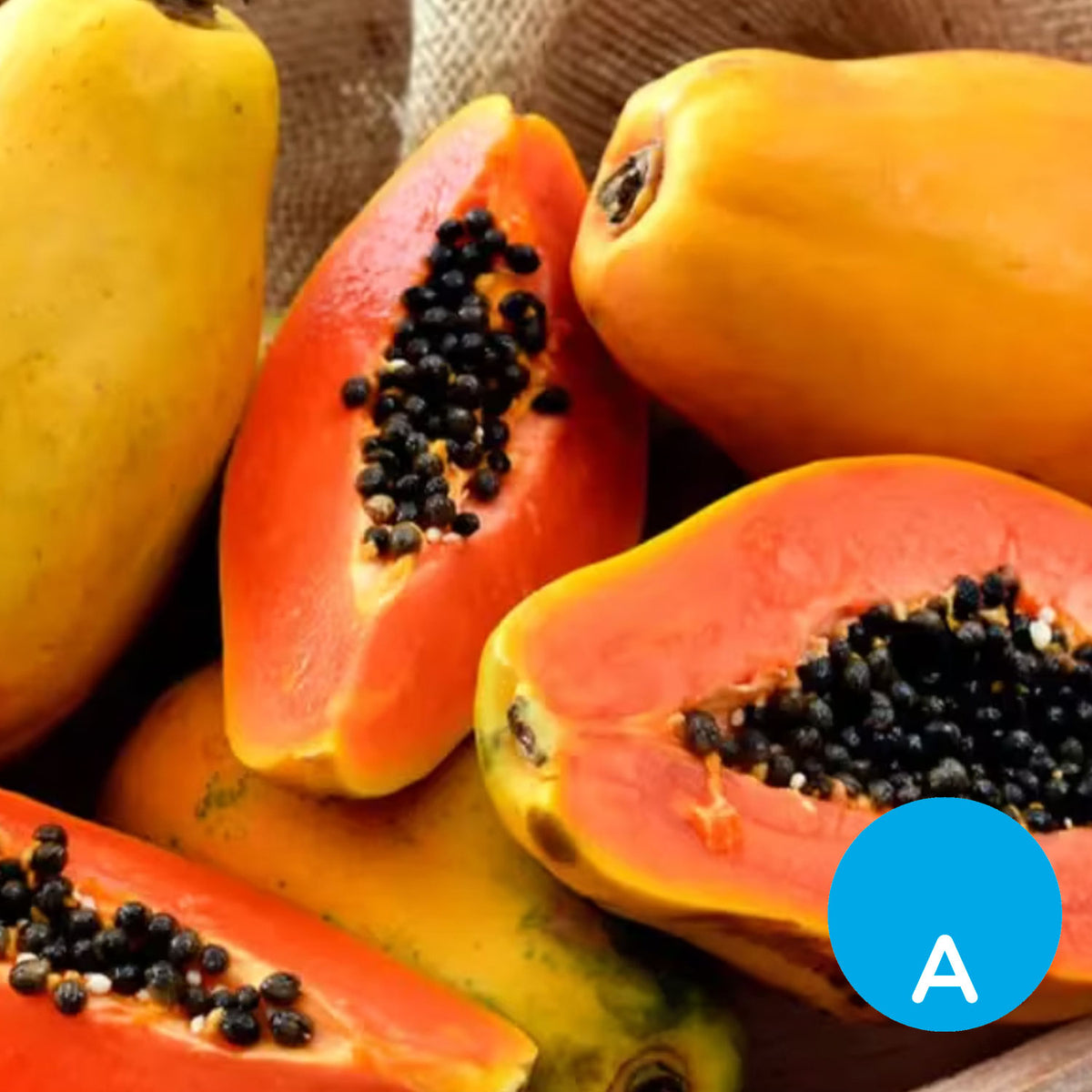 Papaya (mamón) por unidad