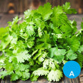 Cilantro x 50 g