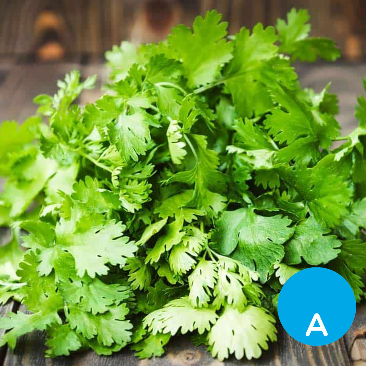 Cilantro x 50 g