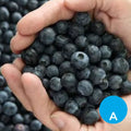 Arándanos x 100 g