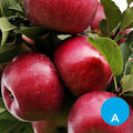 Manzana roja x 500 g