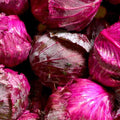 Repollo morado por unidad