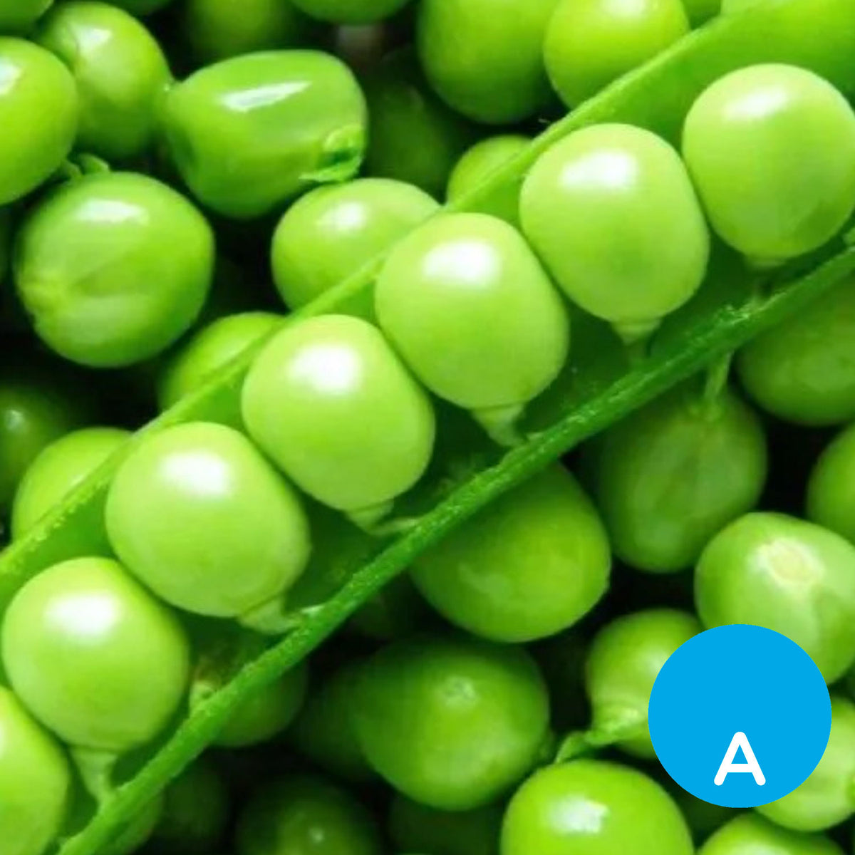 Arvejas frescas x 500 g