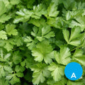 Perejil x 125 g