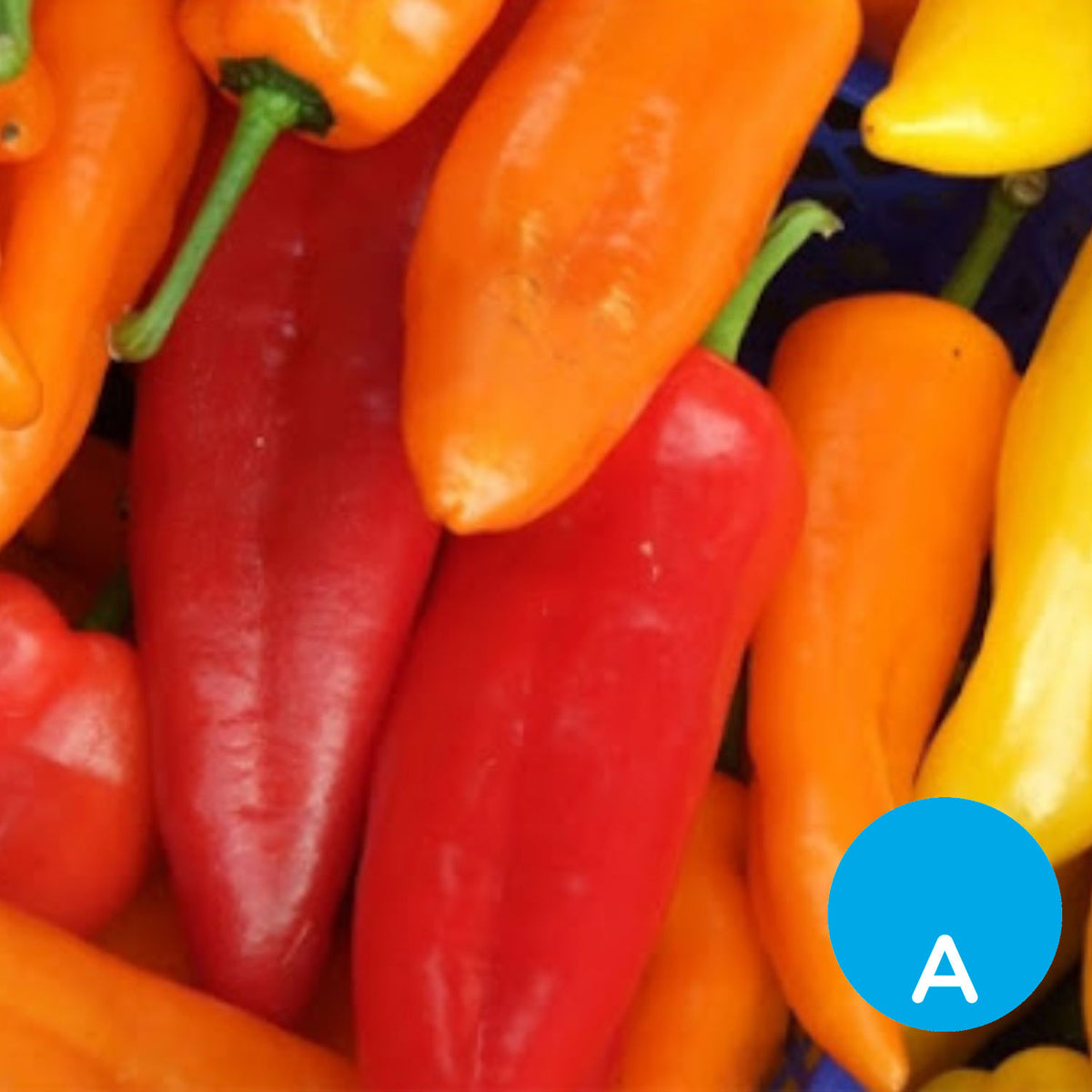 Ají amarillo panca x 500 g