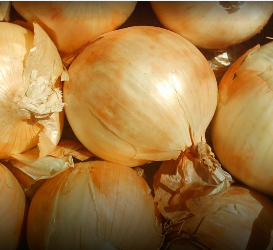 Cebolla común x 500 g