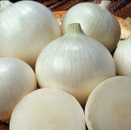 Cebolla blanca x 500 g