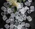Hielo x 2 kg